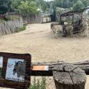 ZOO Jihlava 24.8.2025