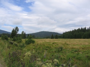 sumava2