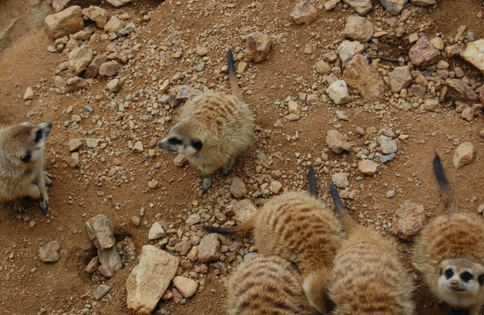ZOO Jihlava