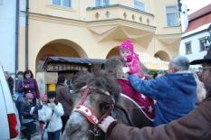 velbloud
