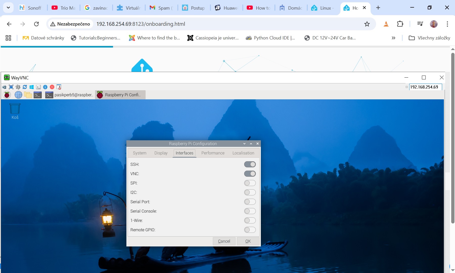 vnc