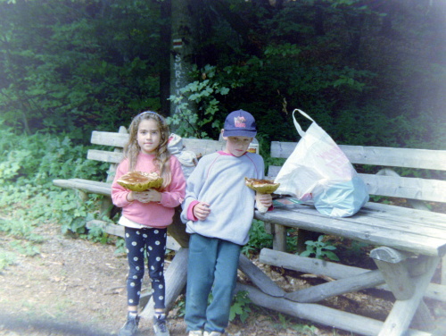 2000 3
