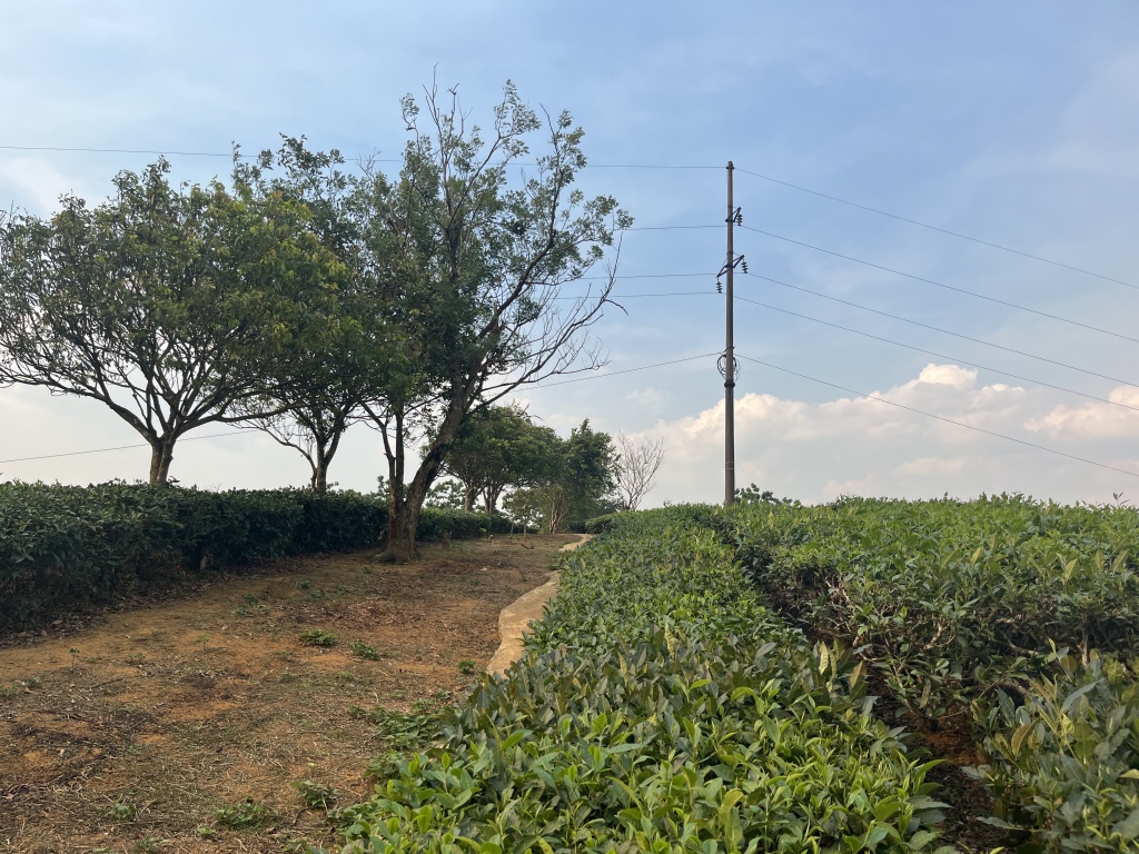Vietnam 07